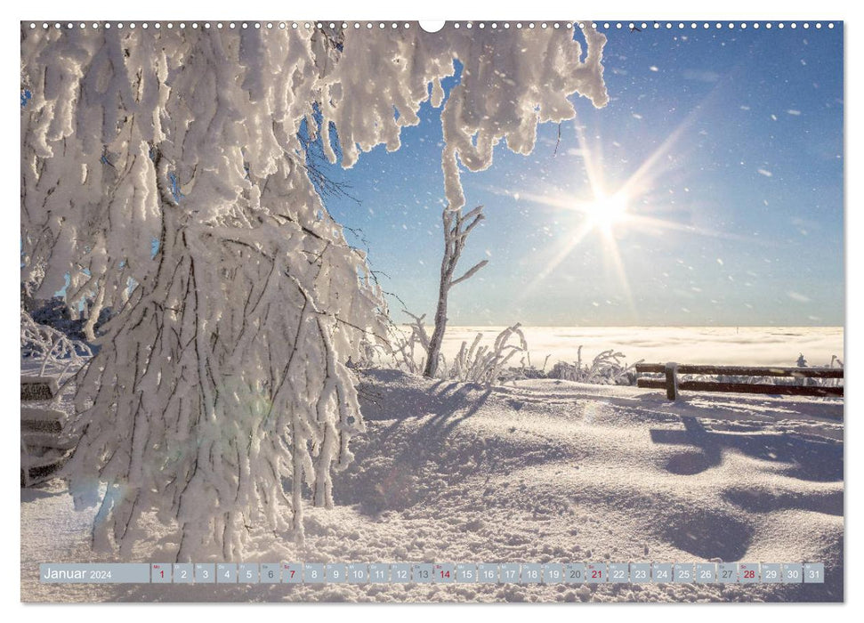 The seasons in the Northern Black Forest (CALVENDO Premium Wall Calendar 2024) 