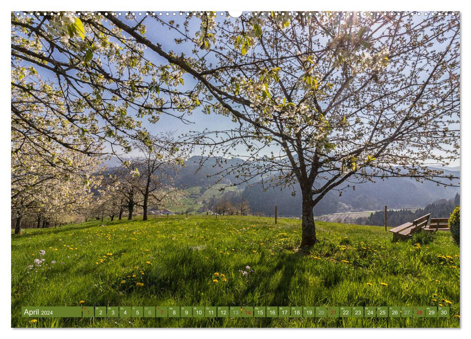 The seasons in the Northern Black Forest (CALVENDO Premium Wall Calendar 2024) 