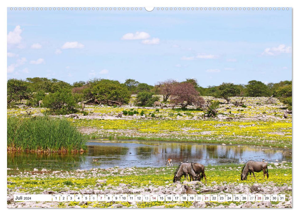 Namibie - Ressentez l'immensité (Calvendo Premium Wall Calendar 2024) 