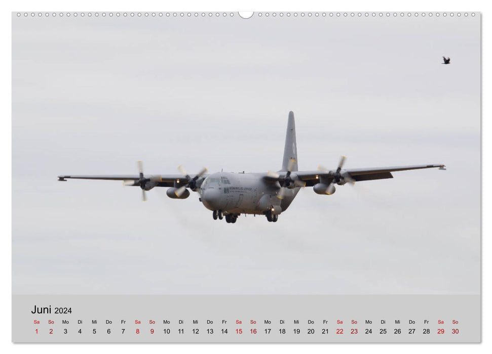 Avion de transport C-130 Hercules (calendrier mural CALVENDO 2024) 