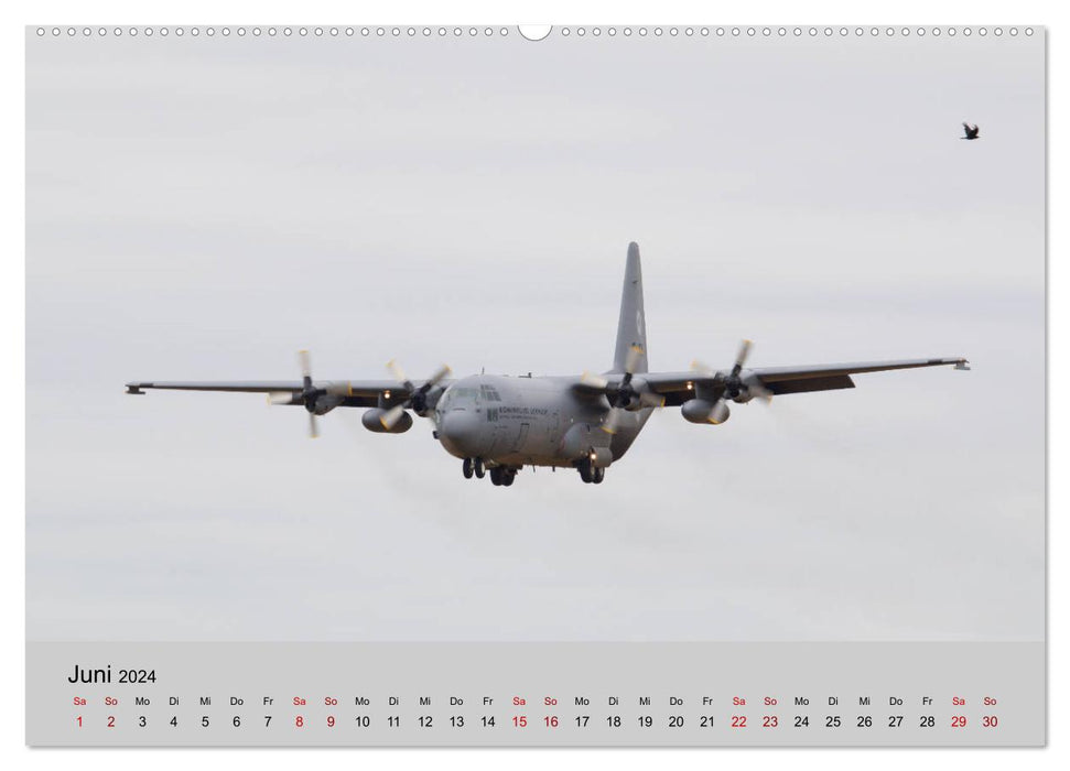 Transport aircraft C-130 Hercules (CALVENDO wall calendar 2024) 