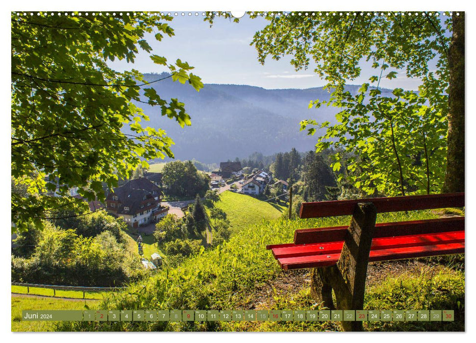The seasons in the Northern Black Forest (CALVENDO wall calendar 2024) 
