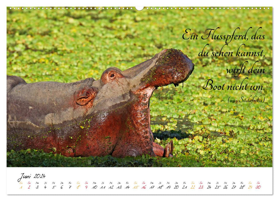 AFRICA - Continent of Poetry (CALVENDO Wall Calendar 2024) 