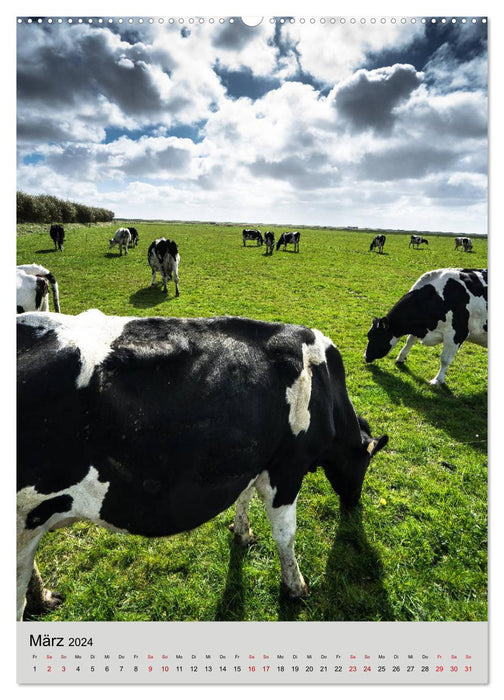 Ameland Beautiful Island (CALVENDO Wall Calendar 2024) 