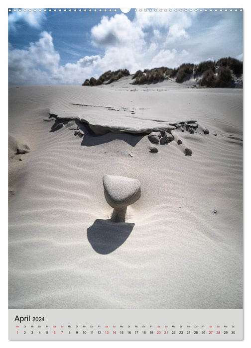 Ameland Beautiful Island (CALVENDO Wall Calendar 2024) 