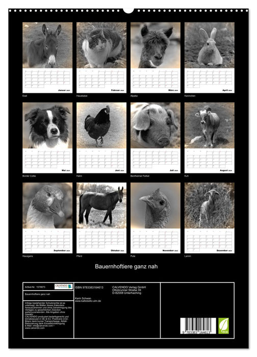 Farm animals up close - Nostalgia Edition (CALVENDO Premium Wall Calendar 2024) 