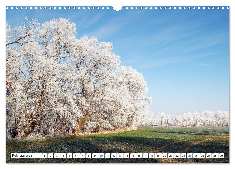 State of Brandenburg - Nature and relaxation in the Brandenburg region (CALVENDO wall calendar 2024) 