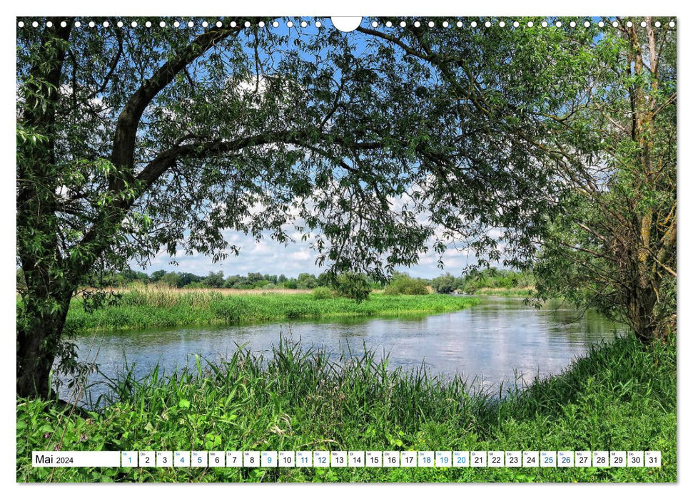 State of Brandenburg - Nature and relaxation in the Brandenburg region (CALVENDO wall calendar 2024) 