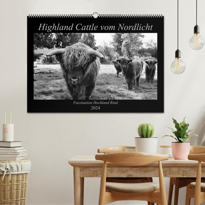 Highland Cattle from the Northern Lights - Fascination with Highland Cattle (CALVENDO Wall Calendar 2024) 