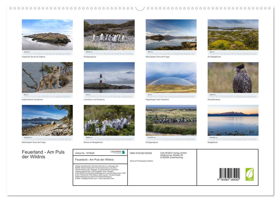Tierra del Fuego - On the pulse of the wilderness (CALVENDO Premium Wall Calendar 2024) 