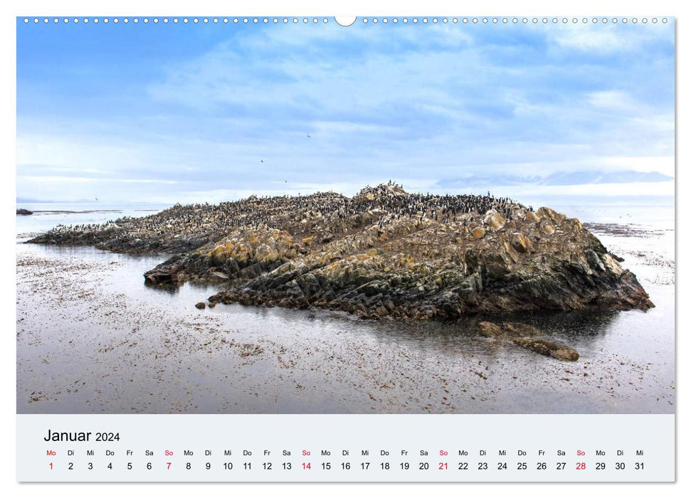 Tierra del Fuego - Au pouls de la nature sauvage (Calvendo Premium Wall Calendar 2024) 