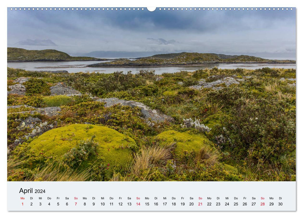 Tierra del Fuego - On the pulse of the wilderness (CALVENDO Premium Wall Calendar 2024) 