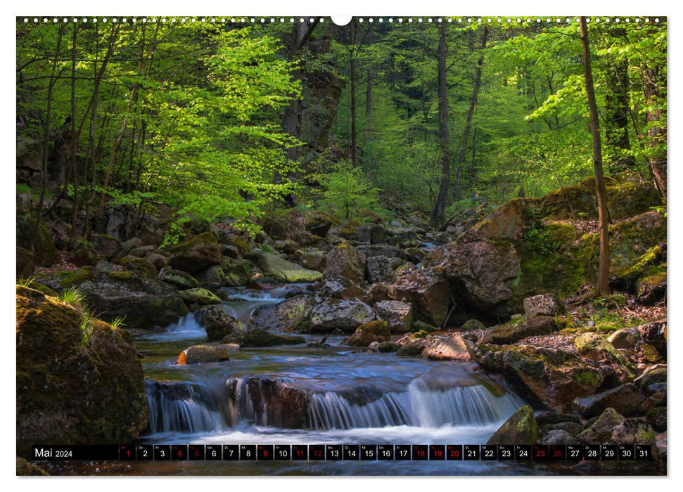 Flüsse und Seen im Harz (CALVENDO Premium Wandkalender 2024)