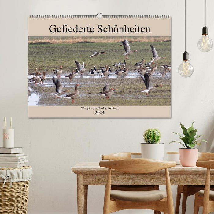 Gefiederte Schönheiten - Wildgänse in Norddeutschland (CALVENDO Wandkalender 2024)