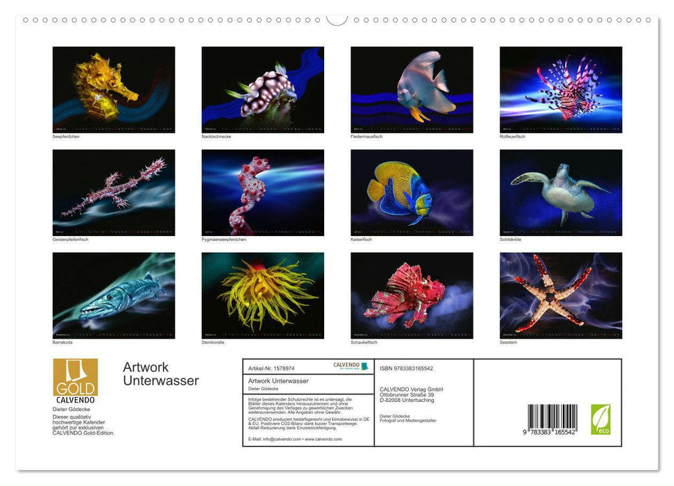 Artwork Underwater – Expérience de plongée (Calvendo Premium Wall Calendar 2024) 