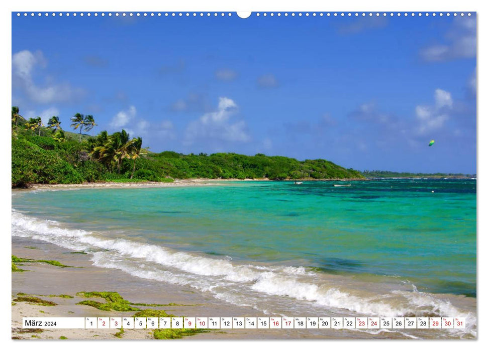 Martinique, the dream beaches (CALVENDO Premium Wall Calendar 2024) 