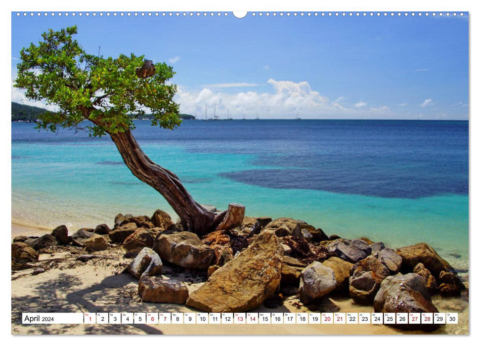 Martinique, die Traumstrände (CALVENDO Premium Wandkalender 2024)