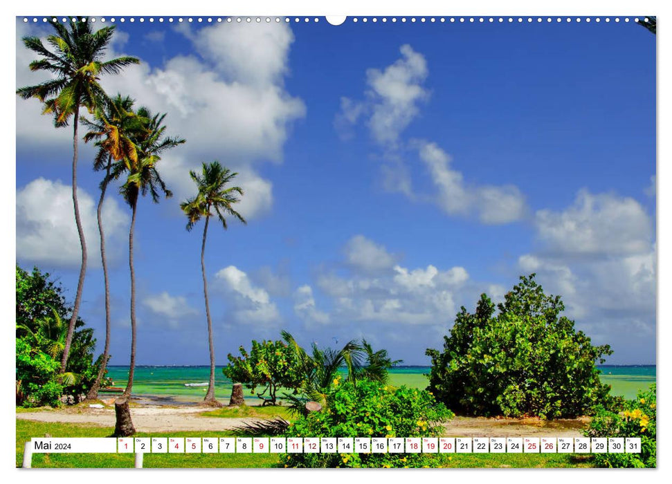 Martinique, the dream beaches (CALVENDO Premium Wall Calendar 2024) 