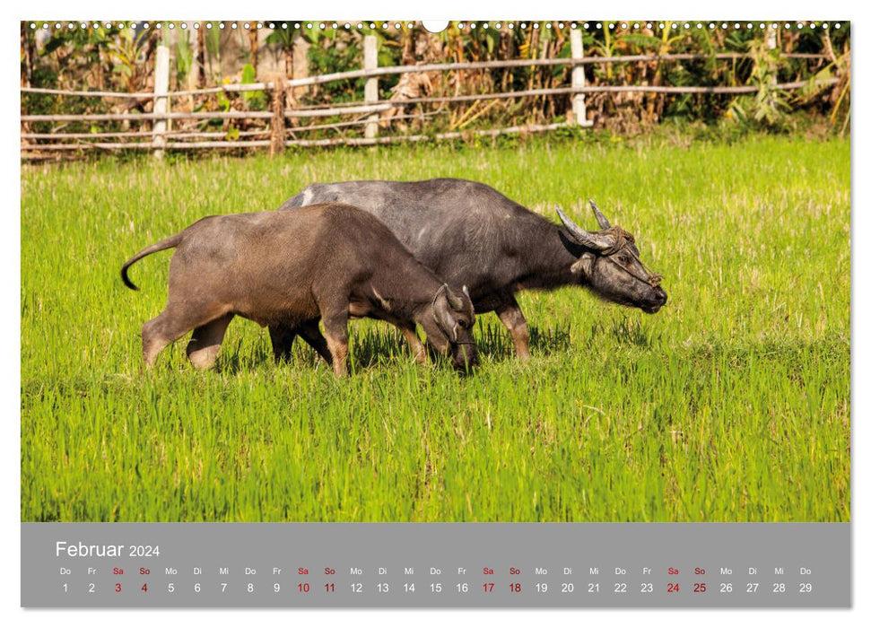 Impressions of VIETNAM 2024 by Till Brühne 2024 (CALVENDO Premium Wall Calendar 2024) 