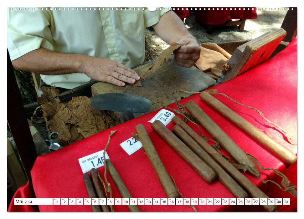 Real Havanas - Cigars "Made in Cuba" (CALVENDO Premium Wall Calendar 2024) 