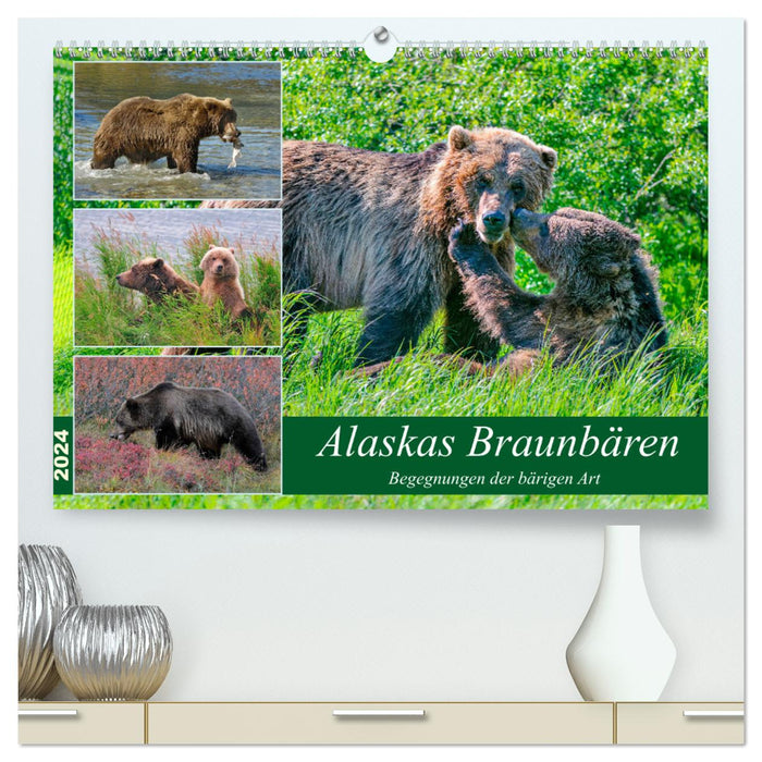 Ours bruns d'Alaska - rencontres avec les espèces d'ours (Calendrier mural CALVENDO Premium 2024) 