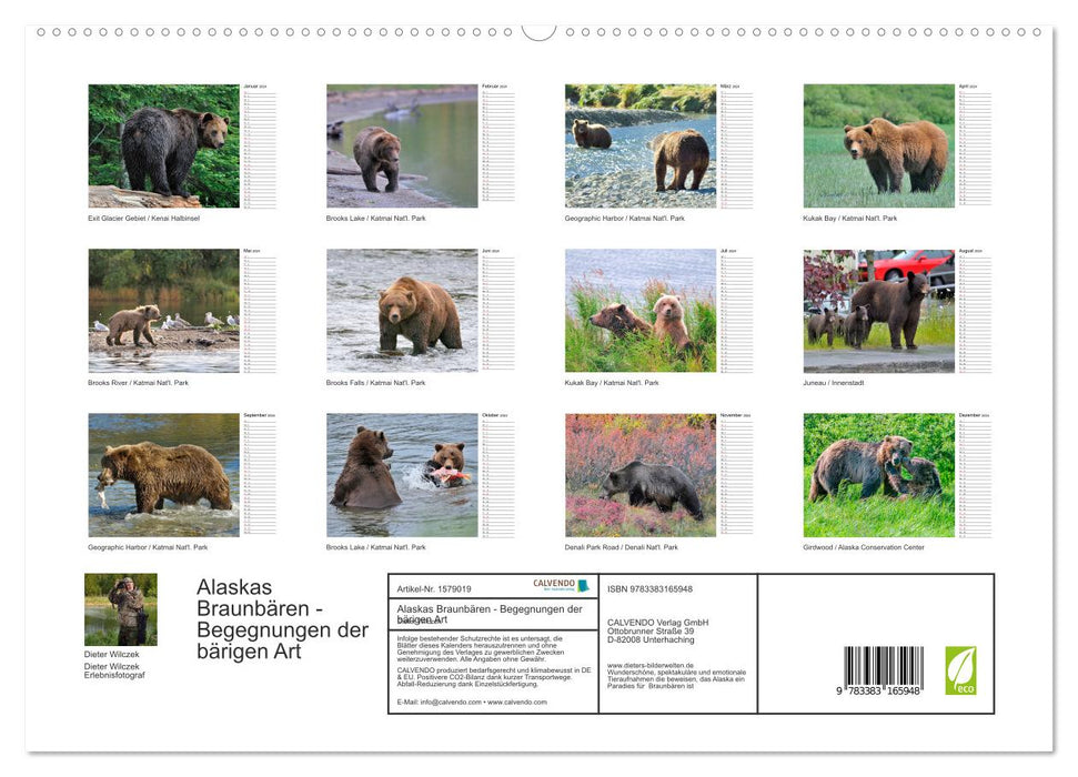 Ours bruns d'Alaska - rencontres avec les espèces d'ours (Calendrier mural CALVENDO Premium 2024) 