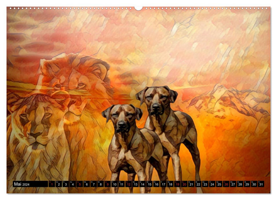 Rhodesian Ridgeback le chien avec la goutte de sang de lion (Calendrier mural CALVENDO Premium 2024) 