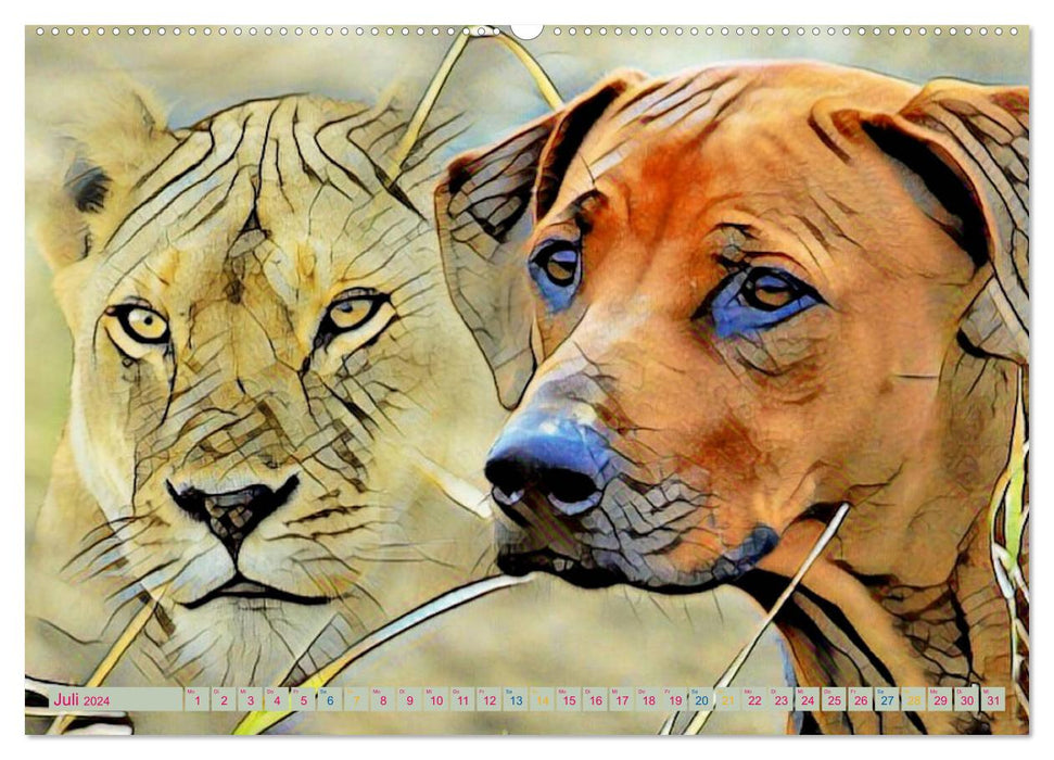 Rhodesian Ridgeback le chien avec la goutte de sang de lion (Calendrier mural CALVENDO Premium 2024) 