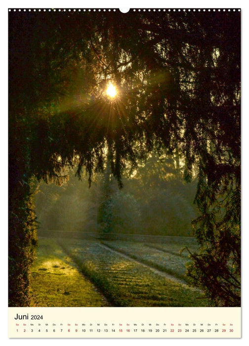 Enchanted. Bremen's most beautiful places (CALVENDO wall calendar 2024) 