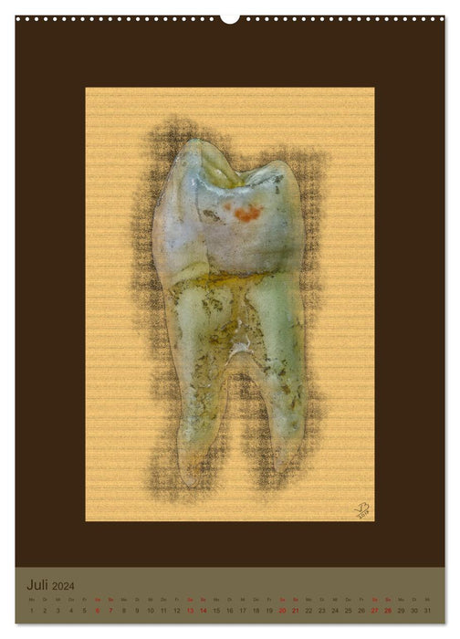 Teeth on canvas (CALVENDO Premium Wall Calendar 2024) 