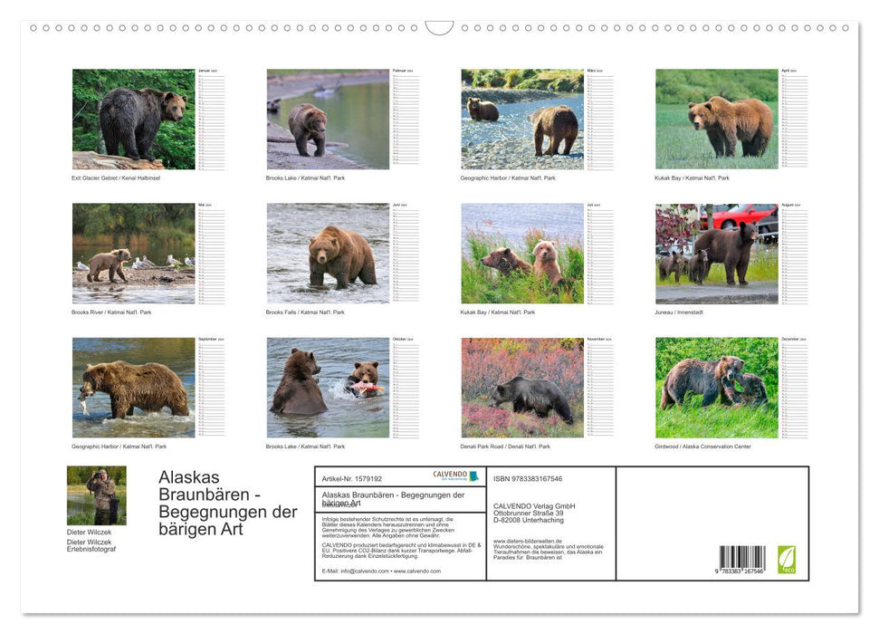 Alaskas Braunbären - Begegnungen der bärigen Art (CALVENDO Wandkalender 2024)