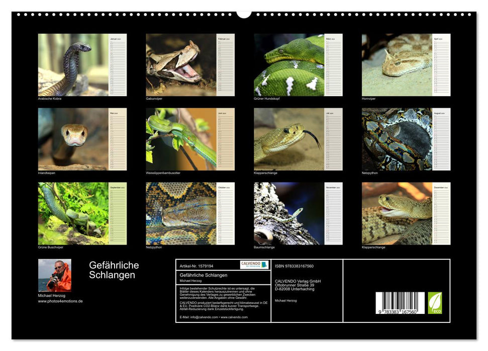 Dangerous snakes (CALVENDO Premium wall calendar 2024) 