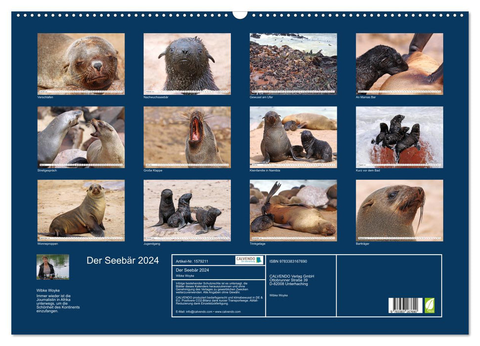 Der Seebär 2024 (CALVENDO Wandkalender 2024)