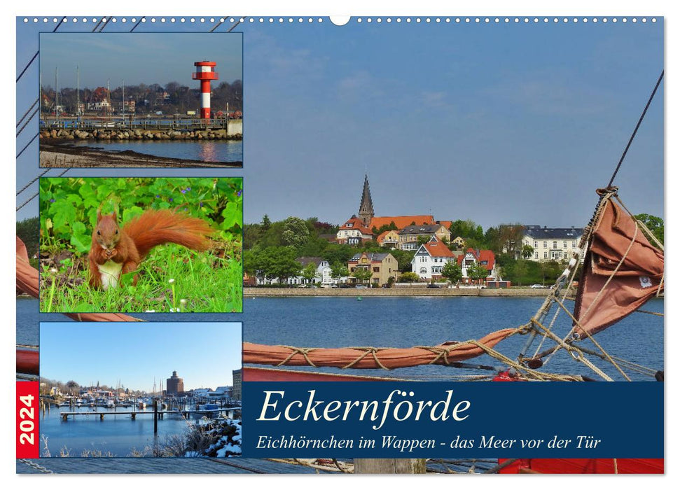 Eckernförde. Écureuil dans les armoiries - la mer à la porte (calendrier mural CALVENDO 2024) 
