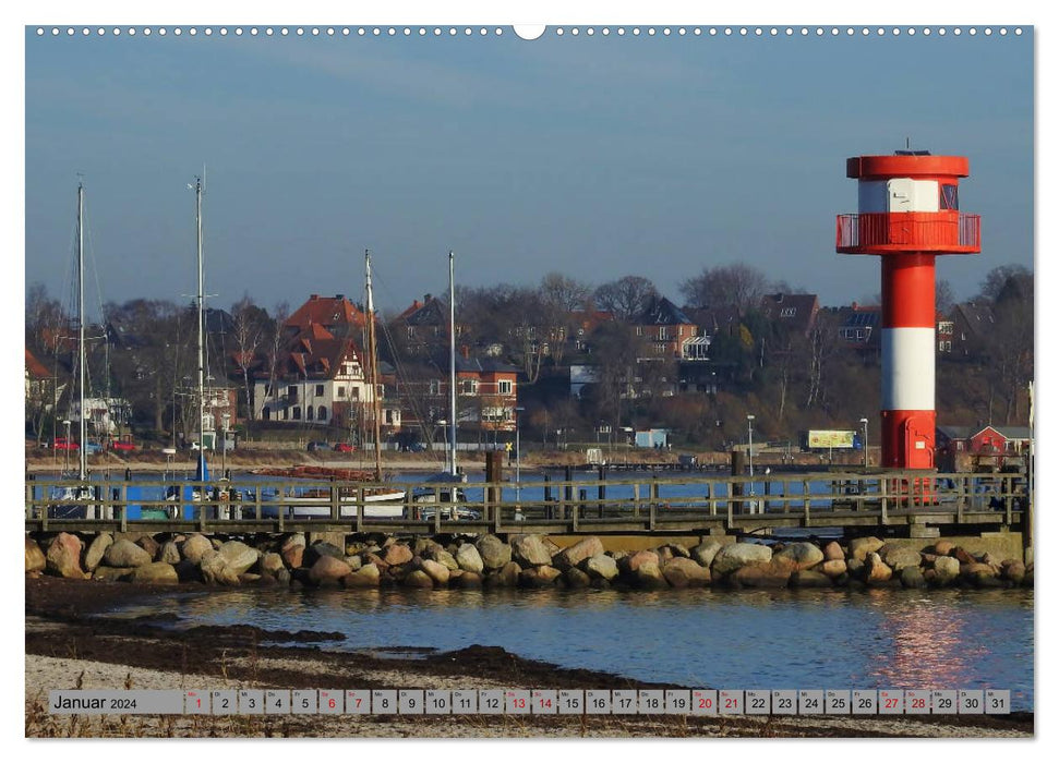 Eckernförde. Écureuil dans les armoiries - la mer à la porte (calendrier mural CALVENDO 2024) 