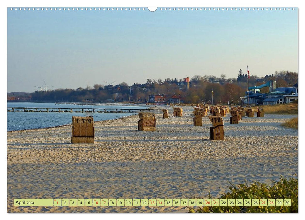 Eckernförde. Écureuil dans les armoiries - la mer à la porte (calendrier mural CALVENDO 2024) 