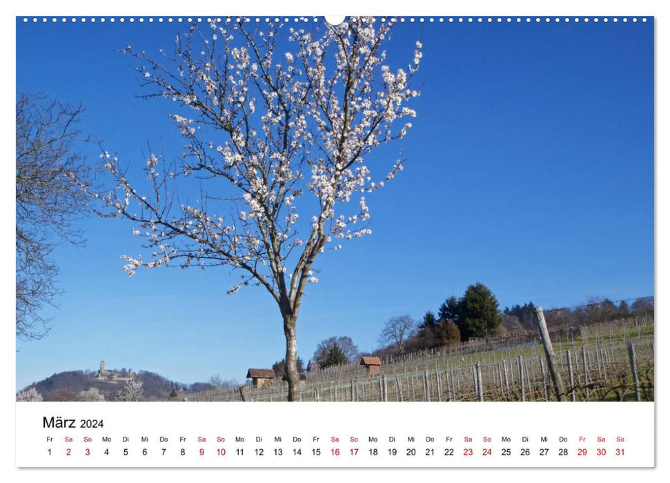 Willkommen in Heppenheim an der Bergstraße (CALVENDO Premium Wandkalender 2024)