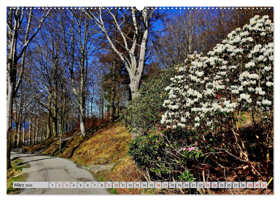 Belle Bergen. La porte d'entrée de la Norvège vers le Fjordland (Calvendo Premium Wall Calendar 2024) 
