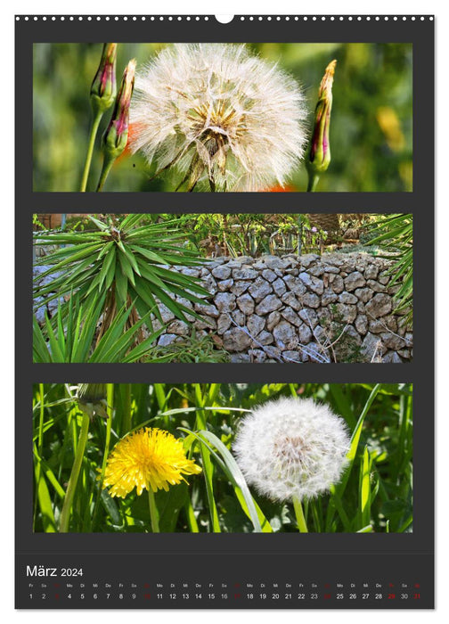 Naturfarben entdecken (CALVENDO Wandkalender 2024)