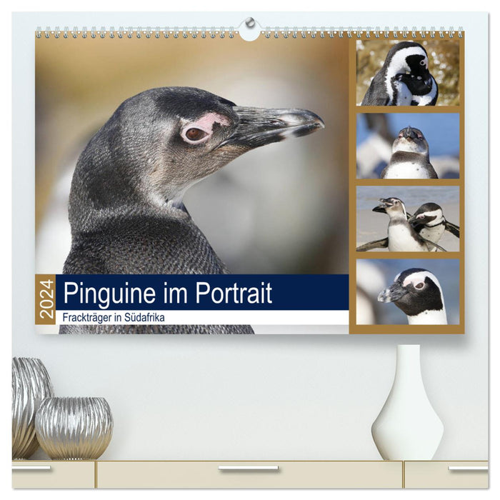 Pinguine im Portrait - Frackträger in Südafrika (CALVENDO Premium Wandkalender 2024)