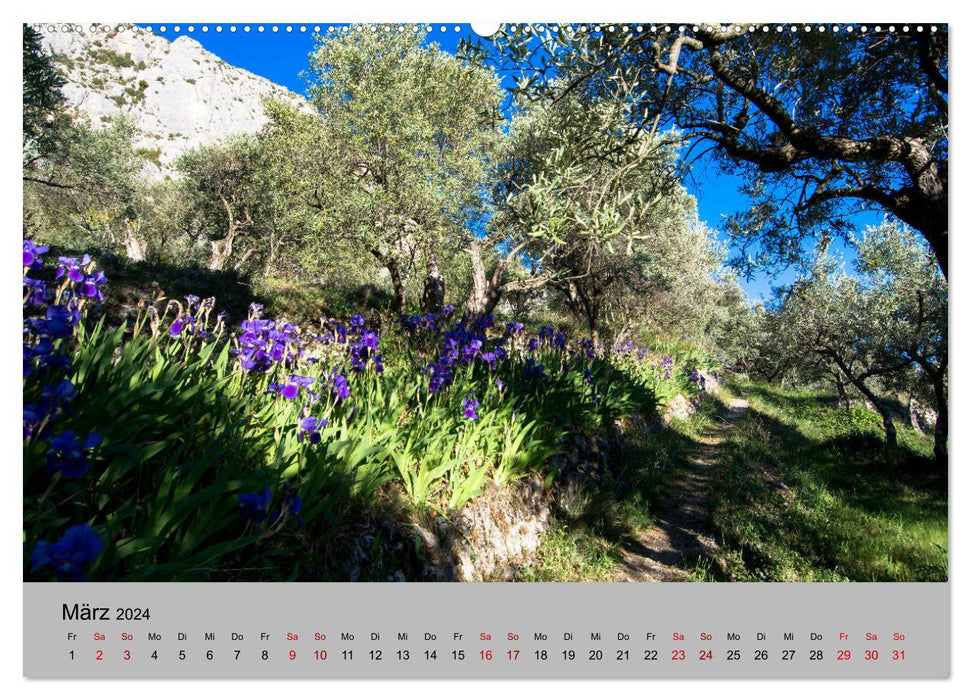 Traumhafte Haute Provence (CALVENDO Premium Wandkalender 2024)