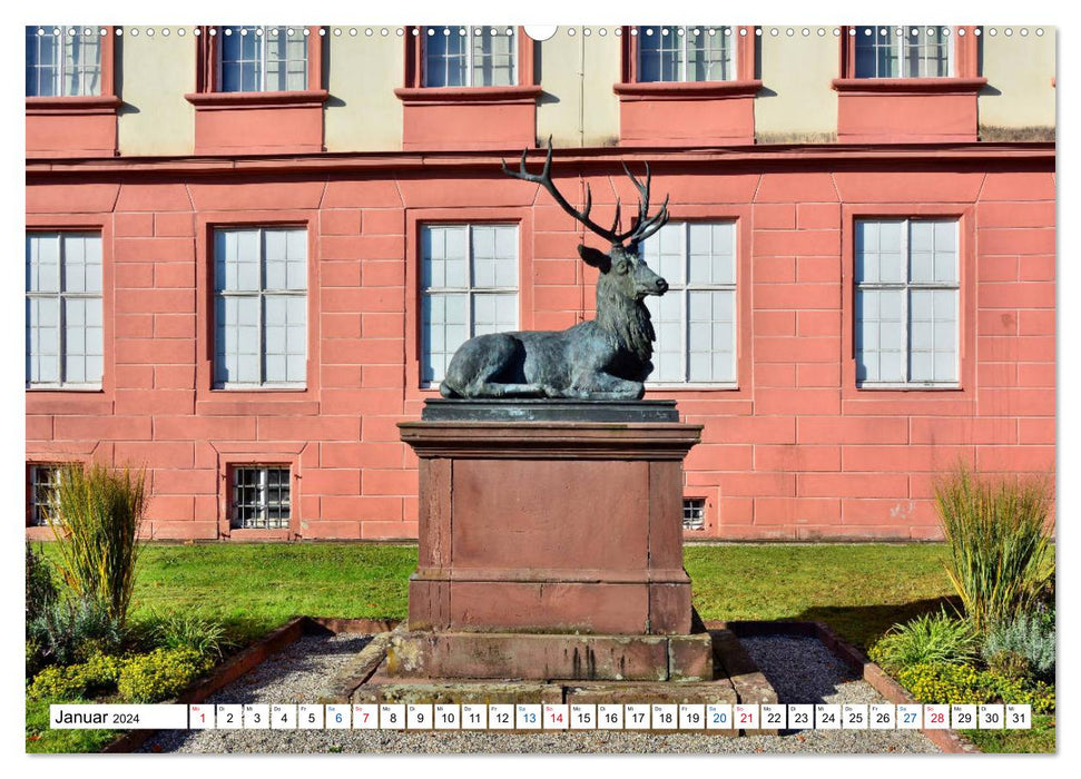 Erbach - La ville résidentielle d'Odenwald (Calendrier mural CALVENDO 2024) 