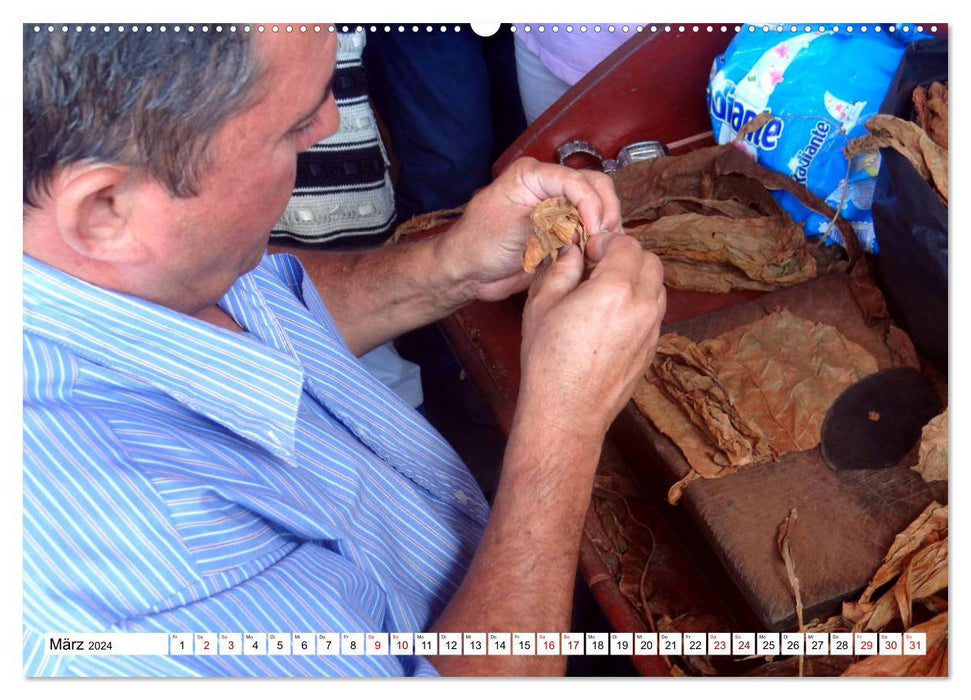 Echte Havannas - Zigarren "Made in Cuba" (CALVENDO Wandkalender 2024)