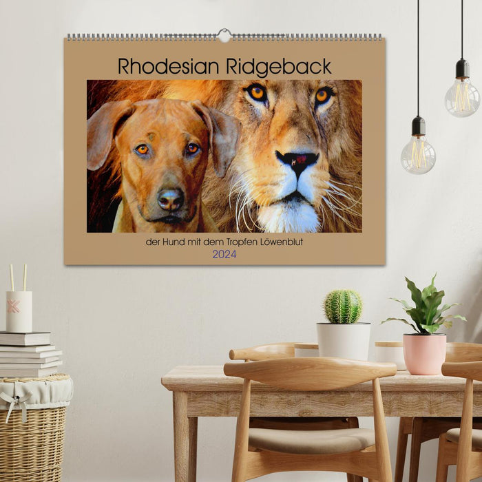 Rhodesian Ridgeback le chien avec la goutte de sang de lion (calendrier mural CALVENDO 2024) 