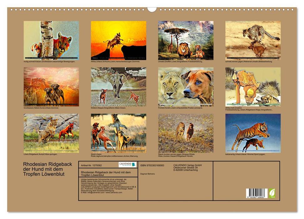 Rhodesian Ridgeback der Hund mit dem Tropfen Löwenblut (CALVENDO Wandkalender 2024)