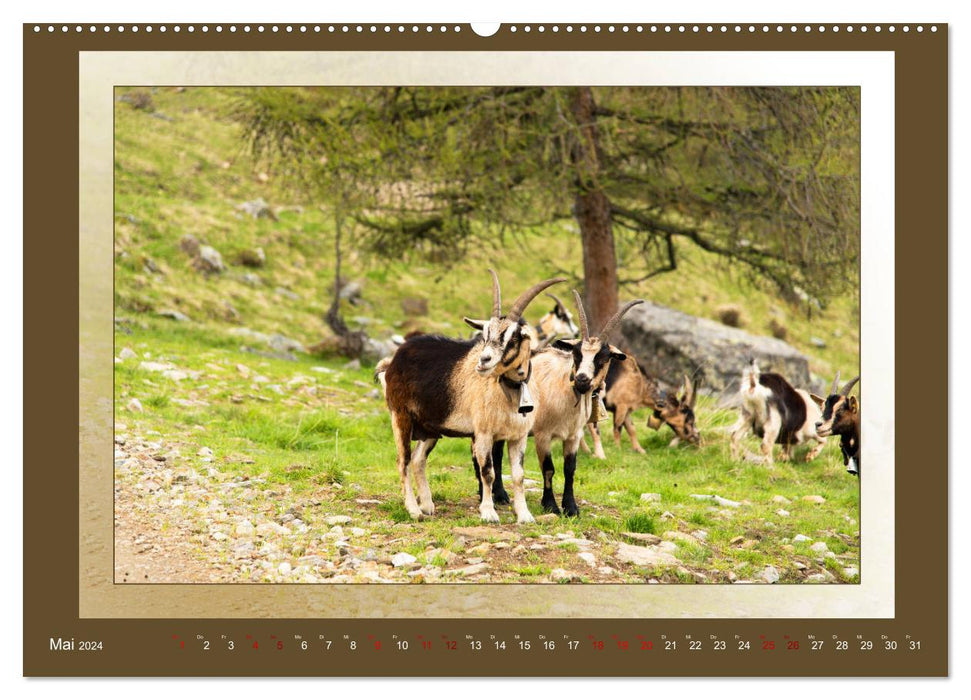 Das vergessene Tal. Schnalstal - Val Senales (CALVENDO Wandkalender 2024)