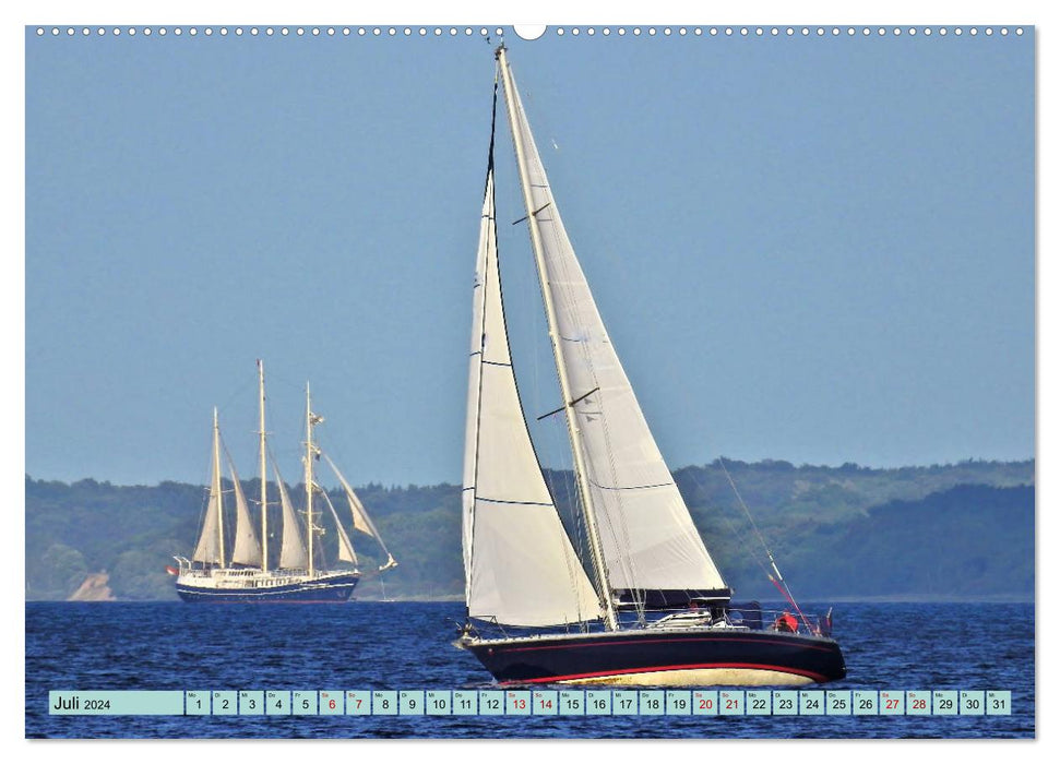 Eckernförde. Écureuil dans les armoiries - la mer à la porte (Calendrier mural CALVENDO Premium 2024) 