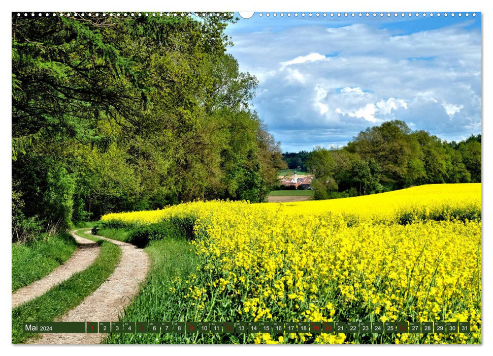 Étangs de forêts de prairies. Le parc naturel des forêts d'Augsbourg et de l'Ouest (calendrier mural CALVENDO Premium 2024) 