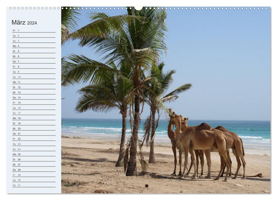 Eine Reise durch den Oman (CALVENDO Premium Wandkalender 2024)