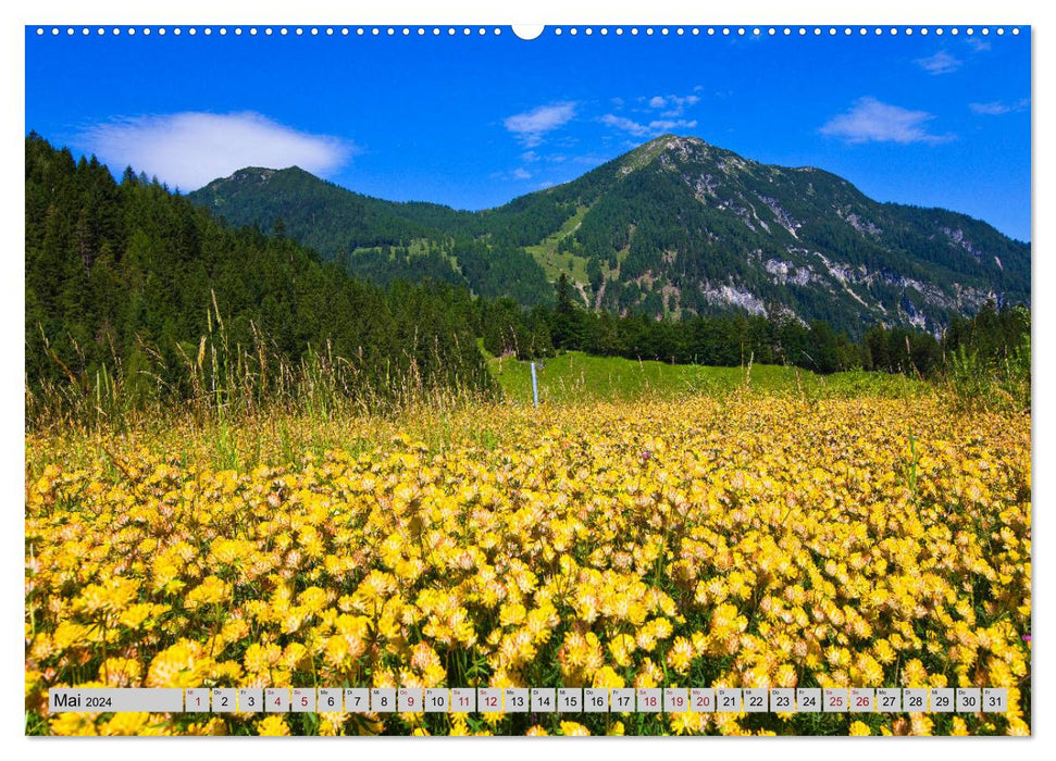 Herzliche Grüße aus Flachau (CALVENDO Premium Wandkalender 2024)